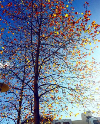24-bonnes-actions-a-faire-au-mois-de-decembre