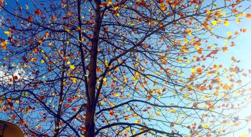 24 bonnes actions à faire au mois de décembre