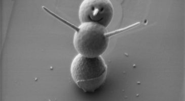 3 microns, c'est la taille du plus petit bonhomme de neige au - %%sitename%%