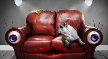 7 choses que je fais devant la télé