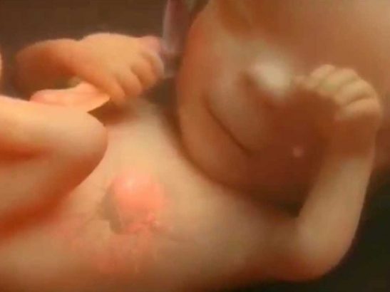 9-mois-de-grossesse-en-quelques-minutes