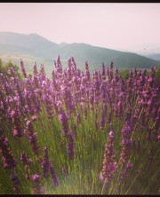 GaiaNatura