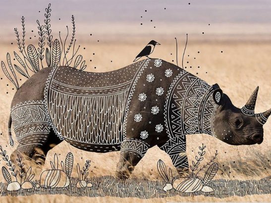Animal-Doodles-Rohan-Sharad-Dahotre-sublime-des-photos-d-animaux-sauvages