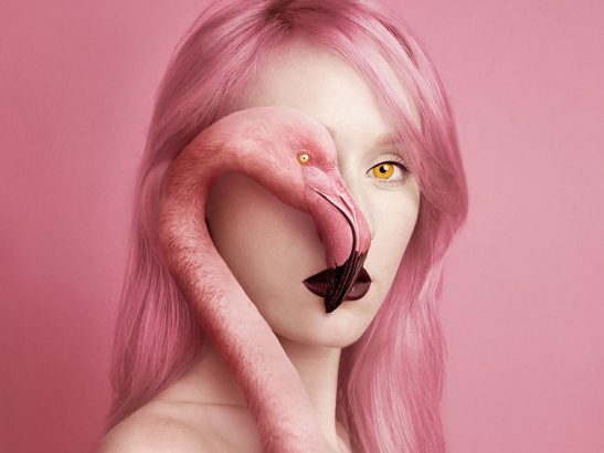 Animeyed-une-serie-de-photos-troublante-et-magnifique
