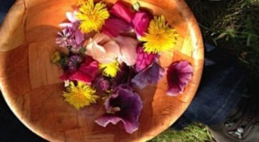 Apprendre à reconnaître, cultiver et utiliser les plantes - %%sitename%%