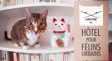 Aristide : Enfin un endroit où on aura plus mauvaise conscience de laisser son chat !