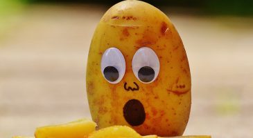 Bien reussir ses frites - %%sitename%%