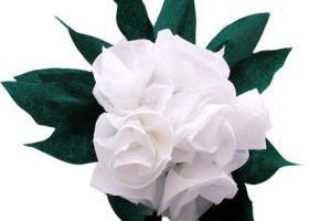Bouquet de fleur maison. - %%sitename%%