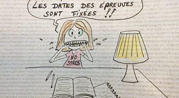 Brevet et baccalauréat : les dates des épreuves sont fixées ! - %%sitename%%
