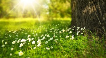 C’est quand la fin de l’hiver ?