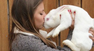 Cette ado a ouvert un refuge pour lapins, cochons d’inde et ch - %%sitename%%