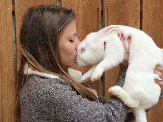 Cette-ado-a-ouvert-un-refuge-pour-lapins-cochons-d-inde-et-chinchillas-en-Isere