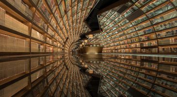 Extraordinaire bibliothèque curculaire - %%sitename%%