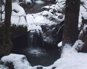 Chaleur-d-hiver-par-Broutin59