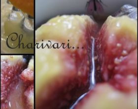 Charivari-par-Stefetsabelette