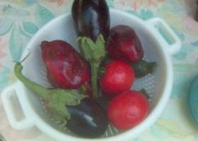 Légumes d'été grillés