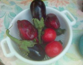 Chichoumee-par-Auberose