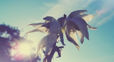 Comment ne pas déprimer à la fin de l'été ? - %%sitename%%