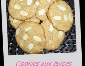Cookies-aux-epices-par-Pivoine-merlin