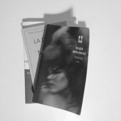 Dans-ma-pile-a-lire