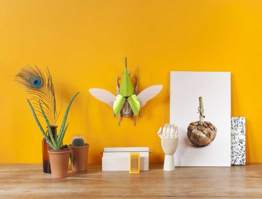 Des-scarabees-en-carton-et-papier