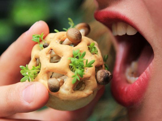 Edible-Growth-l-avenir-de-notre-alimentation-en-impression-3D