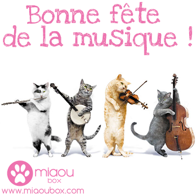Folie-des-box-mais-laquelle-choisir
