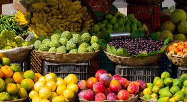 Fruits et légumes de saison, pour ne plus se tromper ! - %%sitename%%