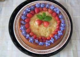 Gâteau à la citrouille - %%sitename%%