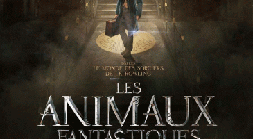 Gros casting pour Les animaux fantastiques 2 ! A vous de joue - %%sitename%%