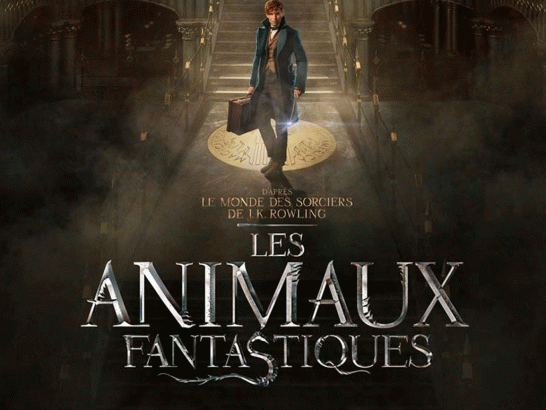 Gros-casting-pour-Les-animaux-fantastiques-2-!-A-vous-de-jouer-!