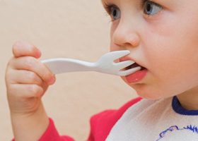 L'alimentation de 3 à 6 ans : apprendre le plaisir de manger é - %%sitename%%