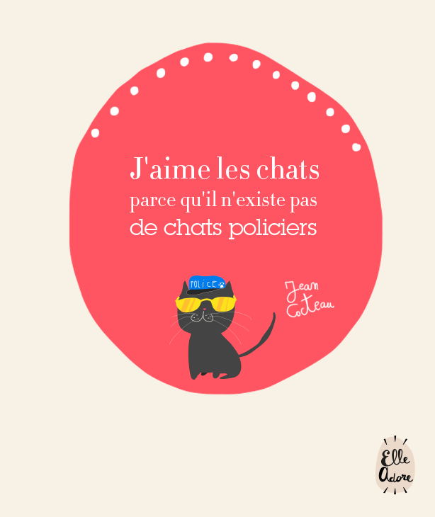 J'aime les chats parcequ'il n'existe pas de chats policiers
