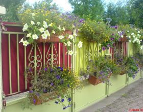 J-habille-mon-portail-aux-couleurs-de-l-ete