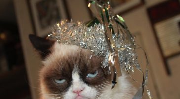 Je n'aime pas fêter le réveillon du nouvel an - %%sitename%%