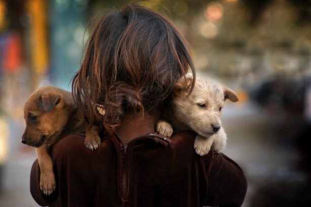 L-animal-de-compagnie-un-anti-allergene-naturel