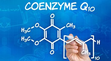 La coenzyme q10, un des meilleur antioxydant ! - %%sitename%%