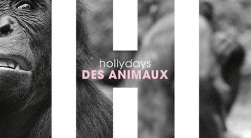 La playlist de la semaine #4