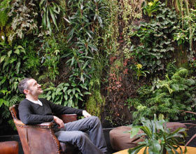 La-vie-a-l-ombre-d-un-mur-vegetal