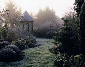 Le-jardin-d-alexandra-par-Diegaertnerin