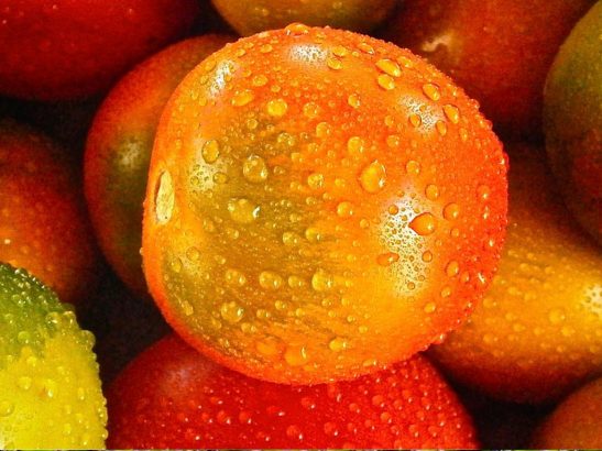 Les-cinq-aliments-les-plus-desalterants