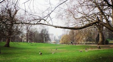 Londres, le rêve - %%sitename%%