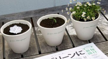 Mainichi est un quotidien japonais qui fleurit quand on l'arro - %%sitename%%
