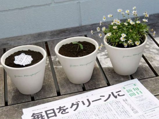 Mainichi-est-un-quotidien-japonais-qui-fleurit-quand-on-l-arrose-!
