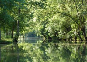 Petite virée dans le Marais Poitevin... - %%sitename%%