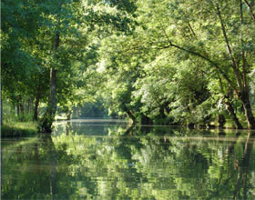 Marais-Poitevin