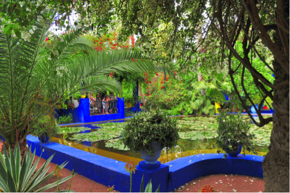 Marrakech-Yves-Saint-Laurent-et-le-jardin-Majorelle