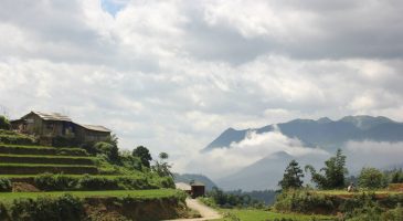 Mon voyage au Vietnam - %%sitename%%