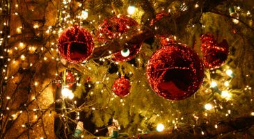 Noël, la période de l'année que je préfère