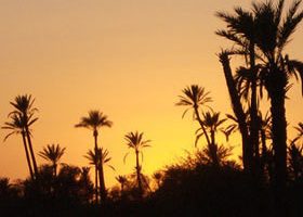 Saint-Sylvestre orientale à Marrakech